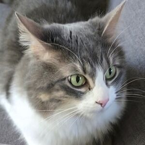 Meet your Posher, Jordan